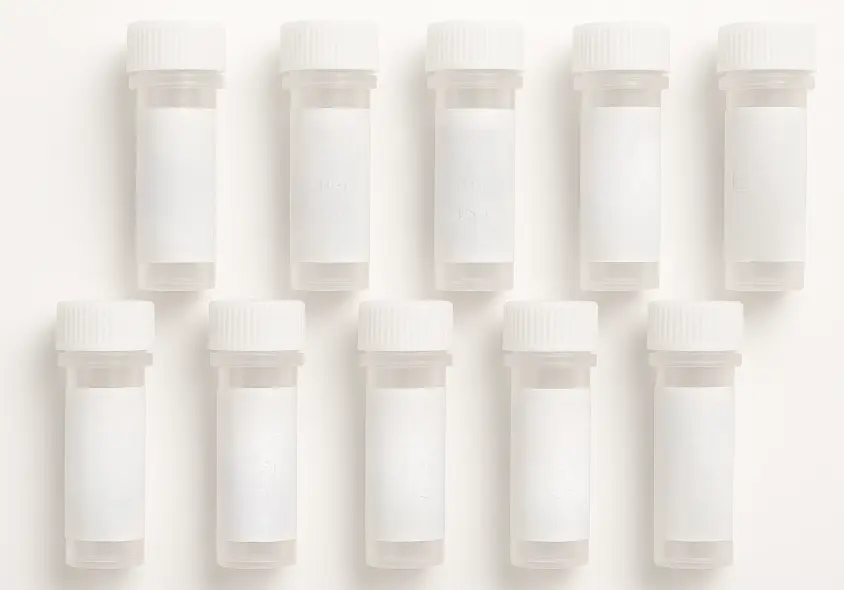 CEACAM6 293T Cell Transient Overexpression Lysate(Denatured)