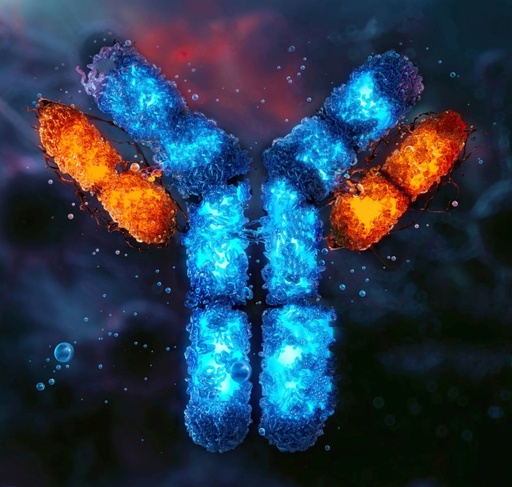 Anti-CXCL13 antibody - 100µg